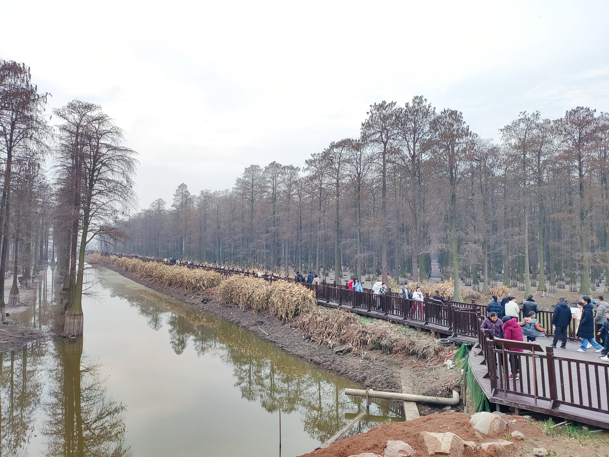 涨渡湖湿地公园